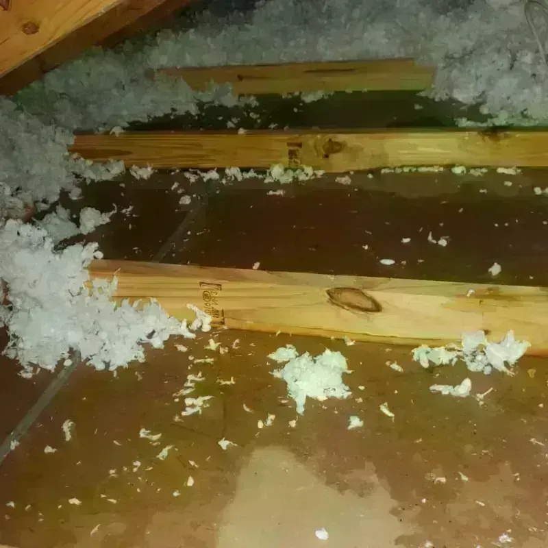 Attic Water Damage in Keewatin, MN